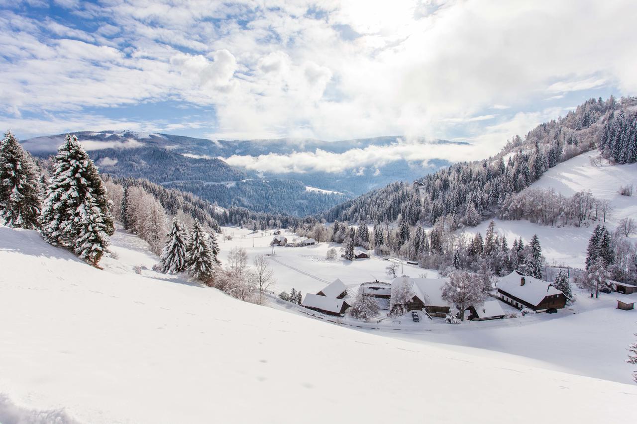 فيلا Bodnerhof Arriach المظهر الخارجي الصورة
