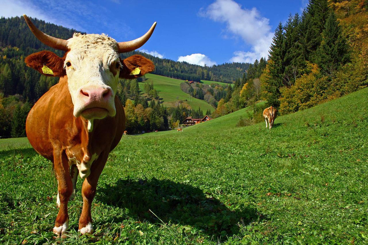 فيلا Bodnerhof Arriach المظهر الخارجي الصورة